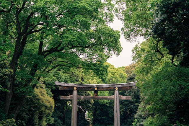 Meiji Shrine