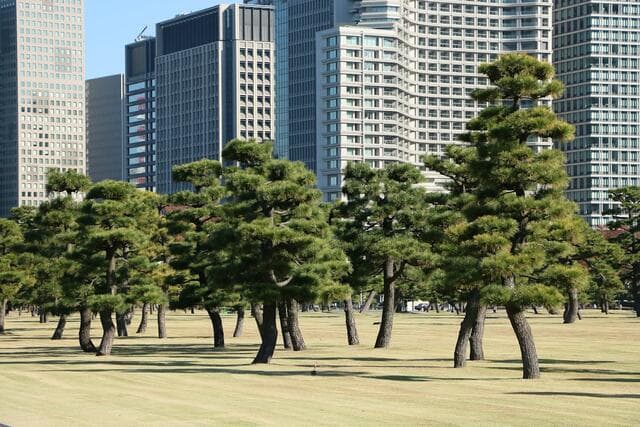 Tokyo park