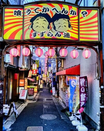 Landscape in the Mist