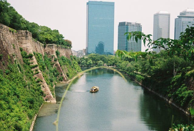 Summer (June-August)