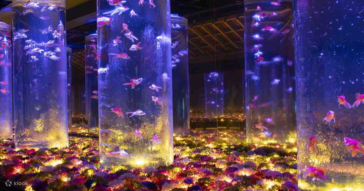 Art Aquarium Museum