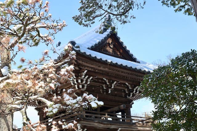 Winter (December-February)